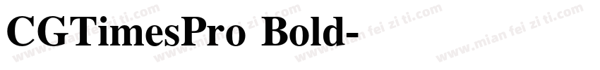 CGTimesPro Bold字体转换
